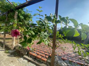 FTH sky 広い庭付きコンドミニアム ビーチ徒歩5分