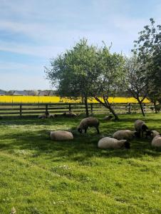 Gîte à la campagne -maison individuelle -Piscine