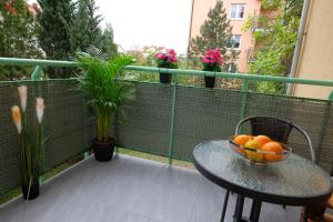 Apartament Słoneczny 9