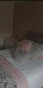 Royal Troon Open 2024 - 基尔温宁