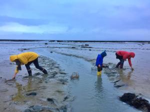 Appartements Saint-Malo Apartment : photos des chambres