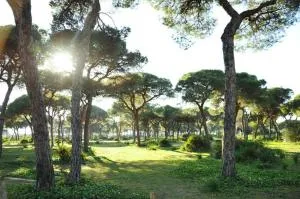 Hostal Quinto Pino - Chipiona