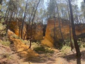 Campings Camping maeva Escapades Le Domaine des Chenes Blancs : photos des chambres