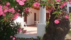 Casa Bouganville