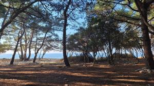 Seaside Cottage Barbariga