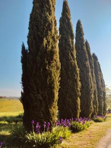 Apartment with Garden View room in Agriturismo Vigliano Bio