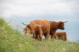 Turizem na kmetiji Rdečnik