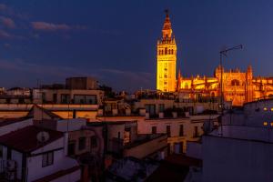 Conteros Dúplex - Terraza vistas a la Giralda