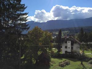 Pension & Apartments Waldkrieber