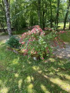 Chalets Chalet les chenes verts - Perigord proche Lascaux : photos des chambres