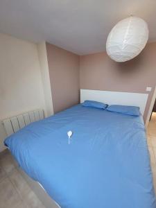 Résidence Malouine "les roses de Malo les bains" Appartement avec mezzanine