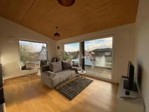 Ruhige Ferienwohnung im Hegau - Engen