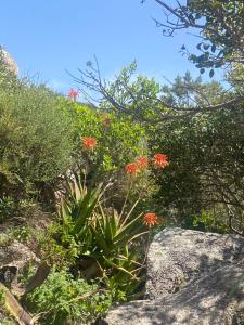 Blue Sardinia house img10