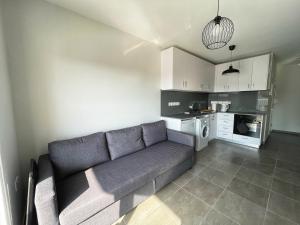 Napa Central apartment