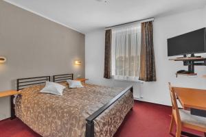 Double Room room in Penzion Za Vodou
