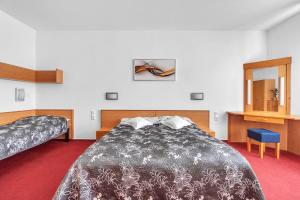 Triple Room room in Penzion Za Vodou