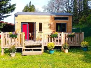 Tiny somniflore - Faissault