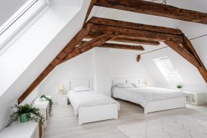 Appartements Le Grenier du Photographe : photos des chambres