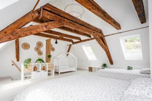 Appartements Le Grenier du Photographe : Appartement 3 Chambres