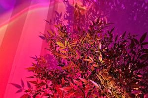 OPEN near Seoul station