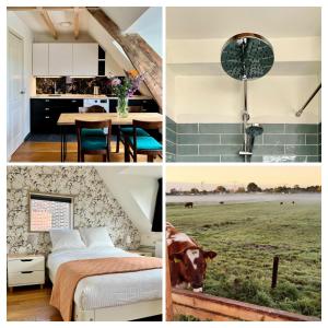 The Grutto, private apartment 25 min from city center