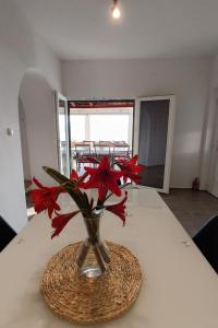 Apartments by the sea Medici, Omis - 19168