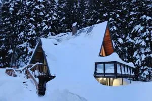 Alpine Modern A-Frame - Snoqualmie Pass