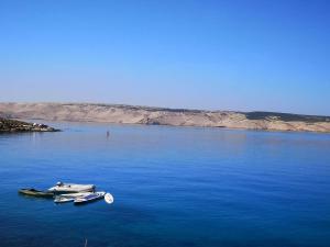 Apartma Mini Lux Prizna 