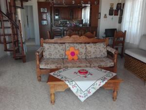 Pan Family House