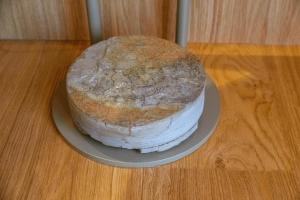 Posestvo Ščurek wine