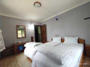 Hotel Mount Paradise