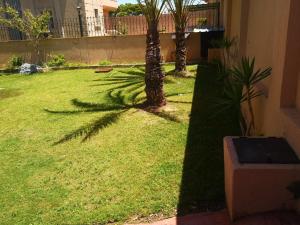 ساحل الشمالي قريه امون