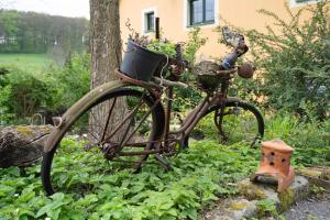 Ferienwohnungen am Waldrand