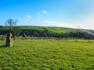 3 Bed in Llanllwni 91447