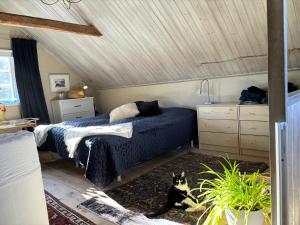 Cabin retreat in the archipelago