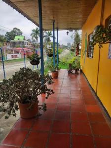 Hospedaje Campestre Araucarias