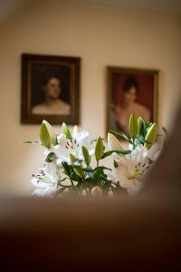 B&B / Chambres d'hotes Chateau de Melin - B&B : photos des chambres