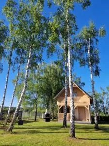 Wiele Żurawi - Broda