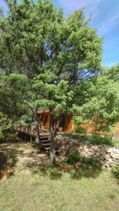 B&B / Chambres d'hotes la bergerie des colles : photos des chambres