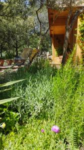 B&B / Chambres d'hotes la bergerie des colles : Suite avec Terrasse 