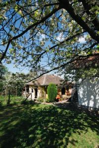 Vikendica Ilic - Petrovac na Mlavi