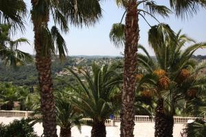 Villas Superbe Villa avec Piscine Palmier et vue : photos des chambres