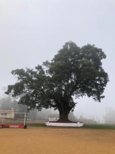 Amberleaf Estate 4BHK Homestay Coorg by Homeyhuts