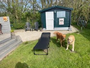 Traumblick Nr 3 aufs Wattenmeer Blick bis nach Texel