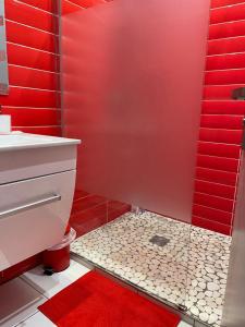 Appartements Schirmeck Apartment : photos des chambres
