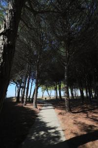 Pines Paradise at Blue Laguna Residence