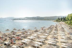 Ambrosia Hotel Beach & Spa