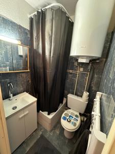 La Foux d Allos, centre station et au pied des pistes