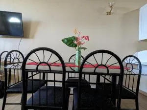 Lovely and cozy 2 bedroom apt with oceanic view - Canefield