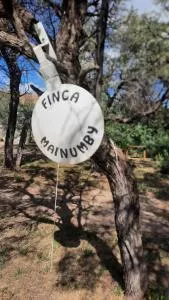 Casita en el monte - San José de las Salinas